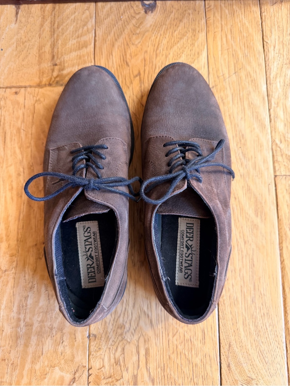 Deer Stags Brown Suede Derby Shoes